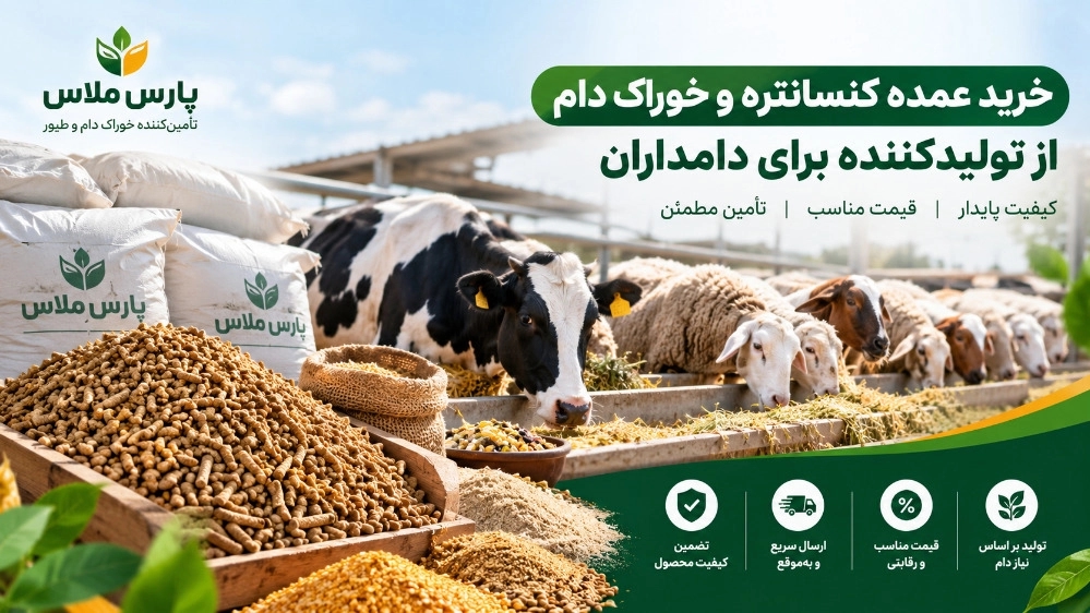 خرید عمده کنسانتره و خوراک دام از تولیدکننده برای دامداران